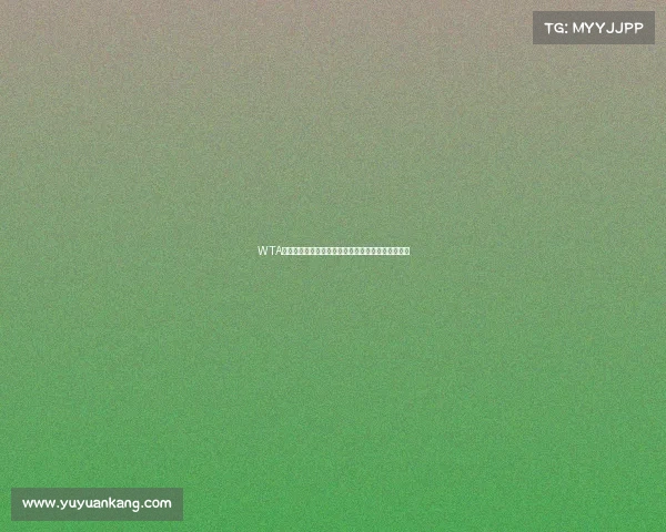 WTA全球巡回赛大满贯总决赛女子网球巅峰对决全景展示