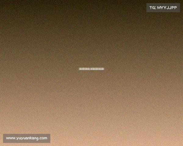 上届世界杯赛事;上届世界杯具体时间